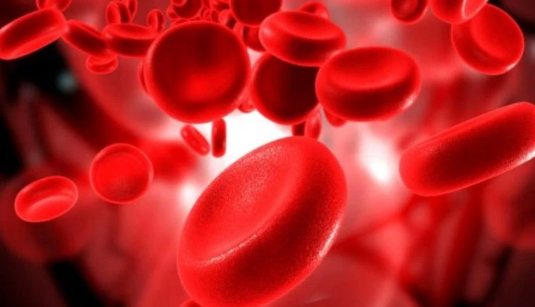 Το ήξερες ότι η αιμοληψία έχει οφέλη και για εσένα; Οι 4 λόγοι για να δίνεις αίμα!